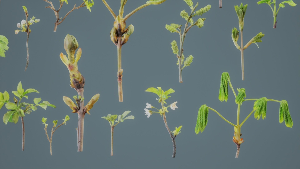 25 Spring Sprouts