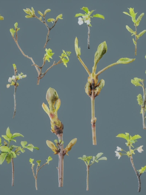 25 Spring Sprouts