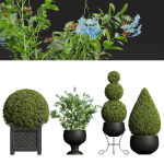 29 Different SETS Of Pot plants  Flowers SET VOL06