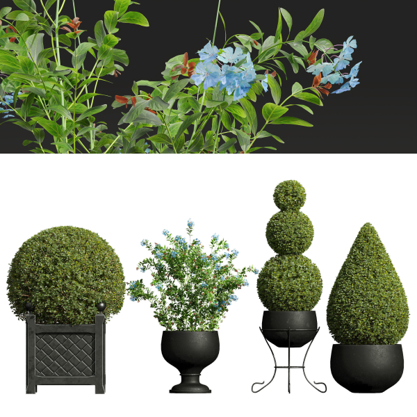 29 Different SETS Of Pot plants  Flowers SET VOL06