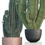 29 Different SETS Of Pot plants  Flowers SET VOL06