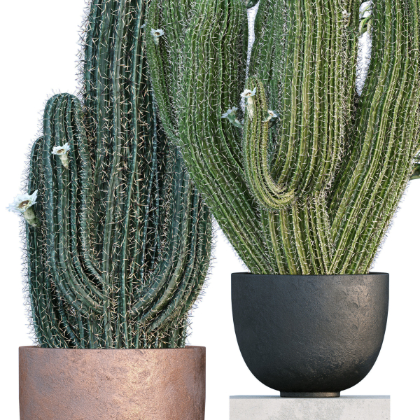 29 Different SETS Of Pot plants  Flowers SET VOL06