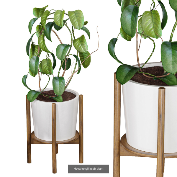 29 Different SETS Of Pot plants  Flowers SET VOL06