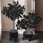 29 Different SETS Of Pot plants  Flowers SET VOL06