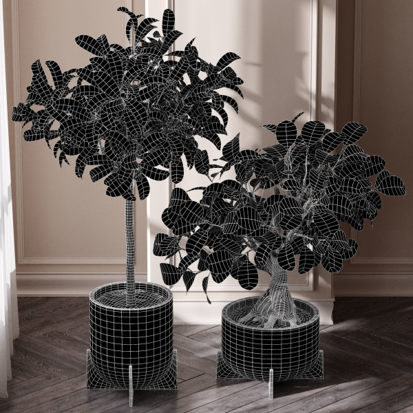29 Different SETS Of Pot plants  Flowers SET VOL06