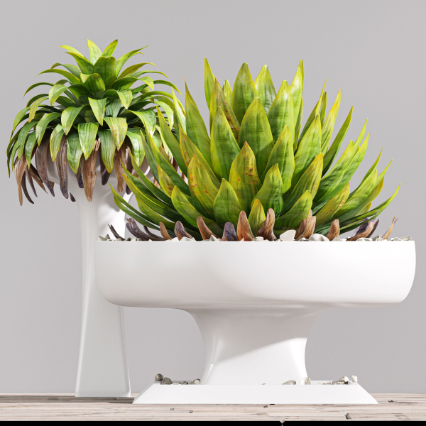 29 Different SETS Of Pot plants  Flowers SET VOL06