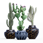 29 Different SETS Of Pot plants  Flowers SET VOL06