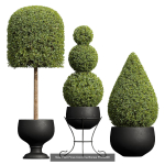 29 Different SETS Of Pot plants  Flowers SET VOL06
