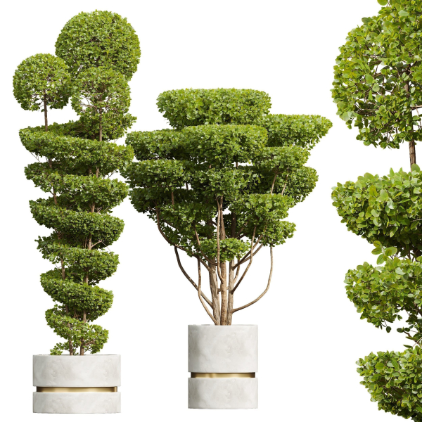 29 Different SETS Of Pot plants  Flowers SET VOL06