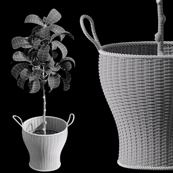 29 Different SETS Of Pot plants  Flowers SET VOL06
