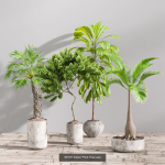29 Different SETS Of Pot plants  Flowers SET VOL06