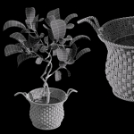 29 Different SETS Of Pot plants  Flowers SET VOL06