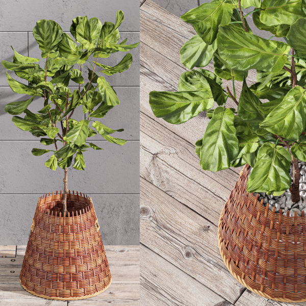 29 Different SETS Of Pot plants  Flowers SET VOL06