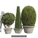 29 Different SETS Of Pot plants  Flowers SET VOL06