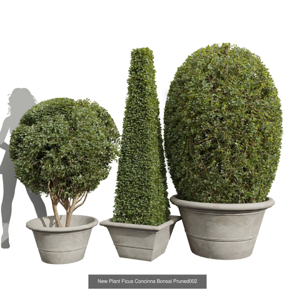 29 Different SETS Of Pot plants  Flowers SET VOL06