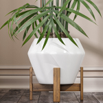 29 Different SETS Of Pot plants  Flowers SET VOL06