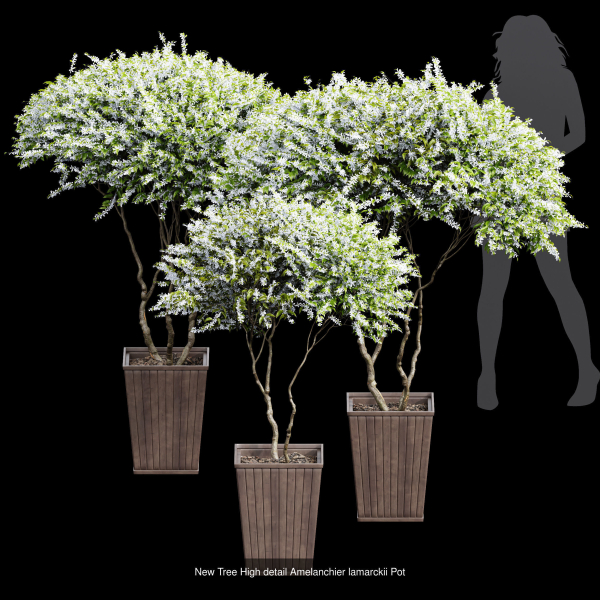 29 Different SETS Of Pot plants  Flowers SET VOL06