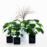 29 Different SETS Of Pot plants  Flowers SET VOL06