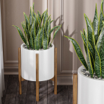 29 Different SETS Of Pot plants  Flowers SET VOL06