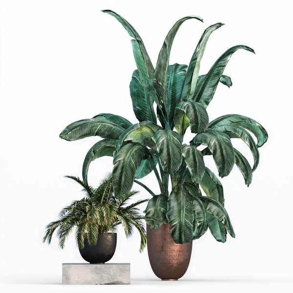 29 Different SETS Of Pot plants  Flowers SET VOL06