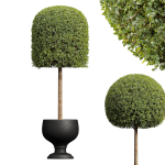 29 Different SETS Of Pot plants  Flowers SET VOL06