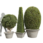 29 Different SETS Of Pot plants  Flowers SET VOL06