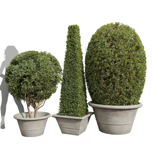 29 Different SETS Of Pot plants  Flowers SET VOL06
