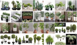 29 Different SETS Of Pot plants  Flowers SET VOL06