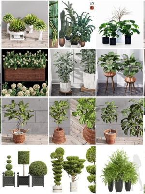 29 Different SETS Of Pot plants  Flowers SET VOL06