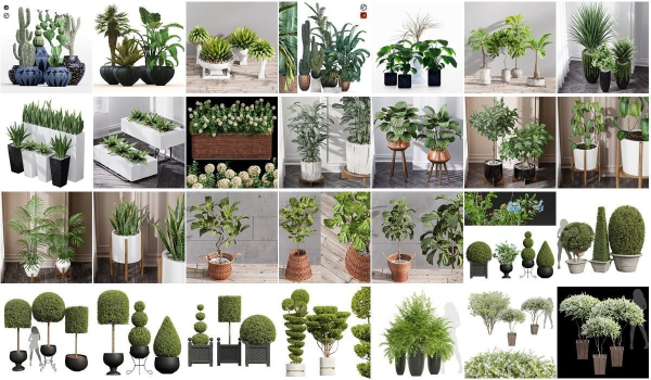 29 Different SETS Of Pot plants  Flowers SET VOL06