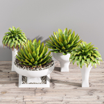 29 Different SETS Of Pot plants  Flowers SET VOL06