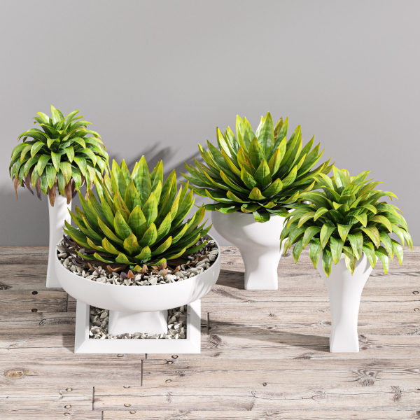 29 Different SETS Of Pot plants  Flowers SET VOL06