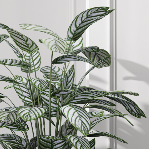 29 Different SETS Of Pot plants  Flowers SET VOL06