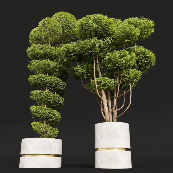 29 Different SETS Of Pot plants  Flowers SET VOL06
