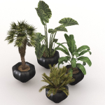29 Different SETS Of Pot plants  Flowers SET VOL06
