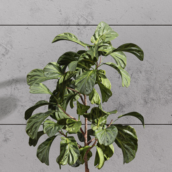 29 Different SETS Of Pot plants  Flowers SET VOL06