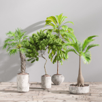 29 Different SETS Of Pot plants  Flowers SET VOL06