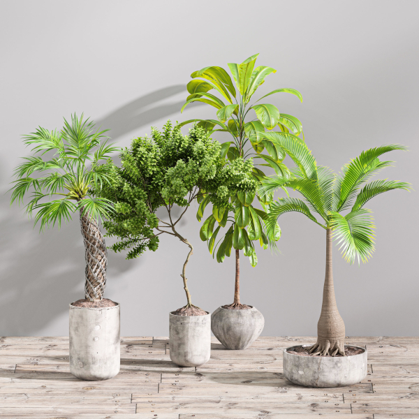 29 Different SETS Of Pot plants  Flowers SET VOL06