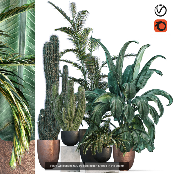 29 Different SETS Of Pot plants  Flowers SET VOL06