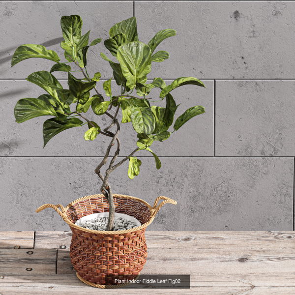 29 Different SETS Of Pot plants  Flowers SET VOL06