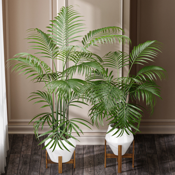 29 Different SETS Of Pot plants  Flowers SET VOL06
