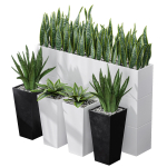 29 Different SETS Of Pot plants  Flowers SET VOL06