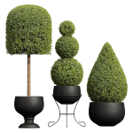 29 Different SETS Of Pot plants  Flowers SET VOL06