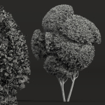 29 Different SETS Of Pot plants  Flowers SET VOL06
