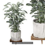 29 Different SETS Of Pot plants  Flowers SET VOL06