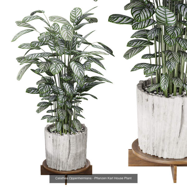29 Different SETS Of Pot plants  Flowers SET VOL06