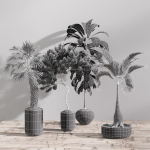 29 Different SETS Of Pot plants  Flowers SET VOL06