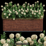 29 Different SETS Of Pot plants  Flowers SET VOL06