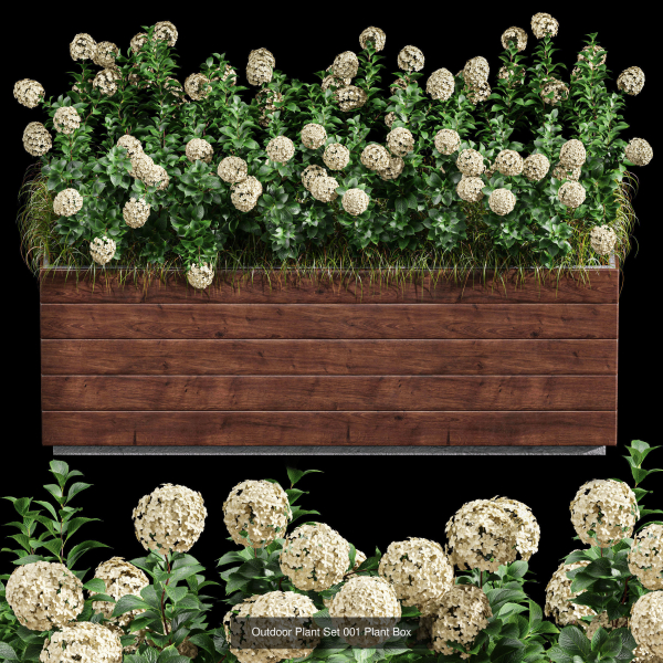 29 Different SETS Of Pot plants  Flowers SET VOL06