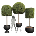 29 Different SETS Of Pot plants  Flowers SET VOL06